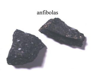 anfibolas
 