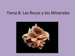 Tema 8: Las Rocas y los Minerales 