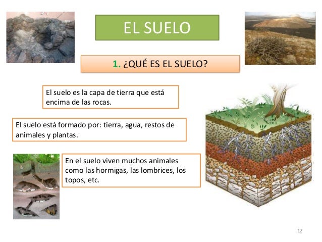 rocas y minerales olivina formacion y usos