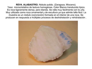 REV4. ALABASTRO.  Nódulo pulido. (Zaragoza, Mioceno).  Yeso  microcristalino de textura homogénea. Color Blanco translucido típico. Es roca ligeramente densa, pero blanda. Se ralla muy fácilmente con la uña. Muy utilizado como roca ornamental y de escultura ya que admite talla fácil. La muestra es un nódulo (concreción) formada en el interior de una roca. Se producen en respuesta a múltiples procesos de deshidratación y rehidratación . 
