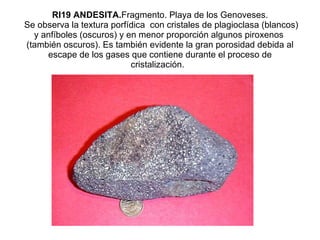 RI19 ANDESITA. Fragmento. Playa de los Genoveses.  Se observa la textura porfídica  con cristales de plagioclasa (blancos) y anfíboles (oscuros) y en menor proporción algunos piroxenos  (también oscuros). Es también evidente la gran porosidad debida al escape de los gases que contiene durante el proceso de cristalización.     