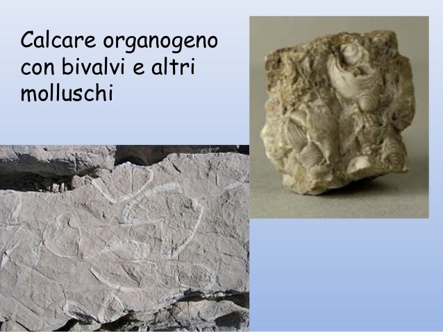 Sale Che Deriva Dall Acido Fosforico