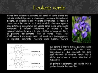 I colori: verde
Verde Iris: colorante estratto dai petali di varie piante tra
cui iris, viola del pensiero, stramonio, tabacco e finocchio di
Spagna. Il colorante era ricavato spremendo le foglie e
conservando l’estratto con il metodo della cimatura, oppure
precipitandolo con allume per usarlo come lacca verde nella
miniatura: è infatti l’addizione di allume a far
insospettabilmente virare il colore dal blu naturale del fiore
al porpora dell’estratto fino al verde finale. Nel
XVII secolo è stato sostituito dal verde vescica (sap green
in inglese), colorante ricavato dalle bacche mature
cui colore è molto simile; peraltro nella
letteratura passata c’è una certa
confusione e i due coloranti non sono
così distinti. Il termine verde iris è
stato usato anche come sinonimo di
malachite
Il principio colorante del verde iris è
probabilmente la clorofilla
 