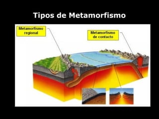 Tipos de Metamorfismo




                        58
 