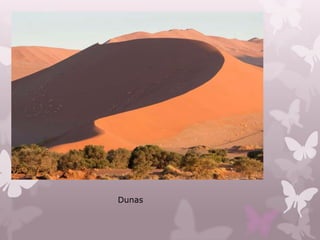 Dunas
 