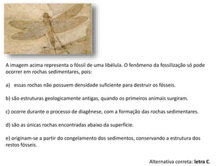 A imagem acima representa o fóssil de uma libélula. O fenômeno da fossilização só pode
ocorrer em rochas sedimentares, pois:
a) essas rochas não possuem densidade suficiente para destruir os fósseis.
b) são estruturas geologicamente antigas, quando os primeiros animais surgiram.
c) ocorre durante o processo de diagênese, com a formação das rochas sedimentares.
d) são as únicas rochas encontradas abaixo da superfície.
e) originam-se a partir do congelamento dos sedimentos, conservando a estrutura dos
restos fósseis.
Alternativa correta: letra C.
 