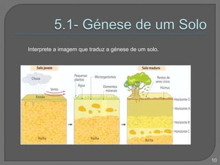 O solo é uma camada da superfície da Terra formada por uma parte mineral (fragmentos de rochas) e uma parte orgânica (restos de plantas e animais mortos).  9
