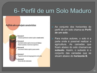 5.1- Génese de um SoloInterprete a imagem que traduz a génese de um solo.10