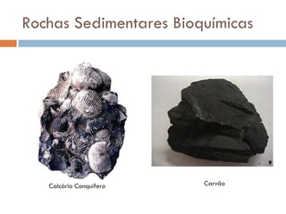Rochas Sedimentares Bioquímicas Calcário Conquífero Carvão 