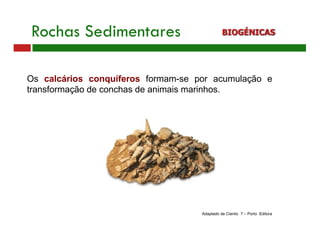 Rochas Sedimentares BIOGÉNICAS
Adaptado de Cientic 7 – Porto Editora
Os calcários conquíferos formam-se por acumulação e
transformação de conchas de animais marinhos.
 