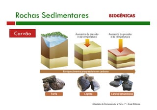 Rochas Sedimentares BIOGÉNICAS
Carvão
Adaptado de Compreender a Terra 7 – Areal Editores
 
