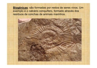 Biogênicas: são formadas por restos de seres vivos. Um
exemplo é o calcário conquífero, formado através dos
resíduos de conchas de animais marinhos.
 