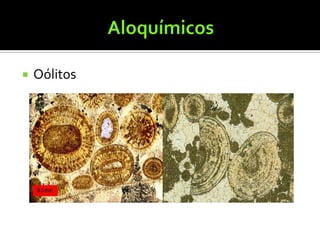    Oólitos
 