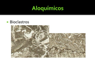    Bioclastros
 