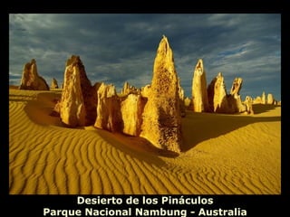 Desierto de los Pináculos
Parque Nacional Nambung - Australia
 