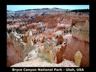 Bryce Canyon National Park - Utah, USA
 