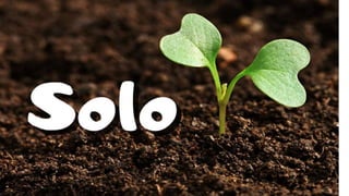 Rochas  e minerais. ( conceito, classificação)pptx