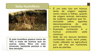 Rochas  e minerais. ( conceito, classificação)pptx