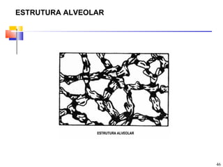 ESTRUTURA ALVEOLAR




                     46
 