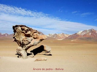Árvore de pedra - Bolívia
 