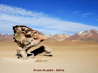 Árvore de pedra - Bolívia 