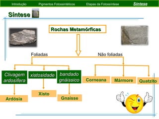 Síntese  Introdução  Pigmentos Fotossintéticos  Etapas da Fotossíntese   Síntese Rochas Metamórficas Ardósia Foliadas Não foliadas H 2 O Clivagem ardosífera Xisto xistosidade Gnaisse bandado gnáissico Corneana Mármore Quatzito 