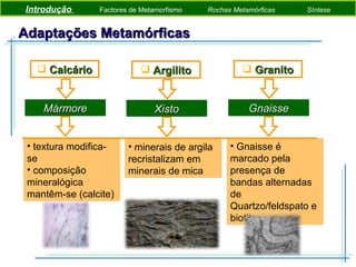 Adaptações Metamórficas Calcário textura modifica-se composição mineralógica mantêm-se (calcite) Mármore Introdução  Pigmentos Fotossintéticos   Etapas da Fotossíntese   Síntese Introdução  Factores de Metamorfismo  Rochas Metamórficas   Síntese Argilito minerais de argila recristalizam em minerais de mica Xisto Granito Gnaisse é marcado pela presença de bandas alternadas de Quartzo/feldspato e biotite Gnaisse 