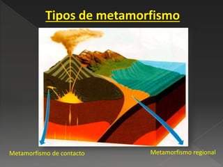 Metamorfismo de contacto Metamorfismo regional
 