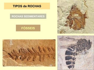 FÓSSEIS TIPOS de ROCHAS ROCHAS SEDIMENTARES 