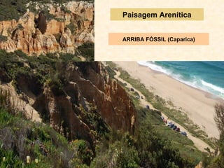 Paisagem Arenítica ARRIBA FÓSSIL (Caparica) 