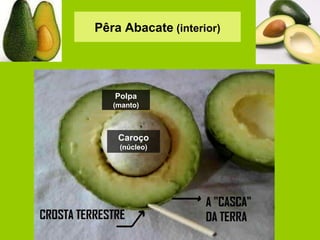 Caroço (núcleo) Polpa (manto) Pêra Abacate  (interior) 