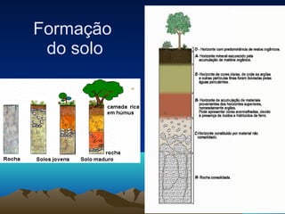 Formação  do solo 