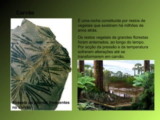 Carvão É uma rocha constituída por restos de vegetais que existiram há milhões de anos atrás. Os restos vegetais de grandes florestas foram enterrados, ao longo do tempo. Por acção da pressão e da temperatura sofreram alterações até se transformarem em carvão. Fósseis de plantas frequentes  no carvão 