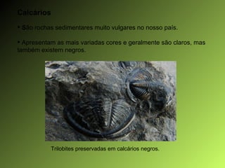 Calcários S ão rochas sedimentares muito vulgares no nosso país. Apresentam as mais variadas cores e geralmente são claros, mas também existem negros. Trilobites preservadas em calcários negros. 