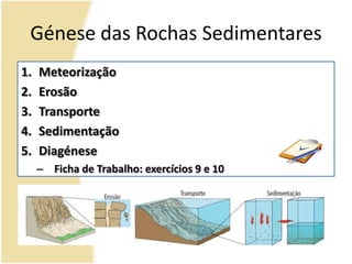 Génese das Rochas SedimentaresMeteorizaçãoErosãoTransporteSedimentaçãoDiagéneseFicha de Trabalho: exercícios 9 e 10