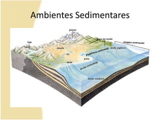 Ambientes Sedimentares