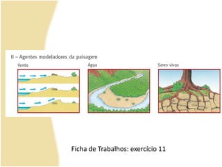 Ficha de Trabalhos: exercício 11