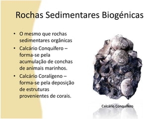 Rochas Sedimentares BiogénicasO mesmo que rochas sedimentares orgânicasCalcário Conquífero – forma-se pela acumulação de conchas de animais marinhos.Calcário Coralígeno – forma-se pela deposição de estruturas provenientes de corais.Calcário Conquífero