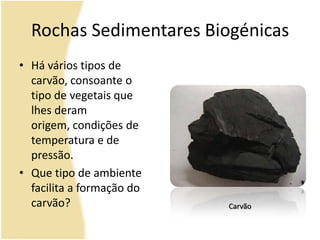 Rochas Sedimentares BiogénicasHá vários tipos de carvão, consoante o tipo de vegetais que lhes deram origem, condições de temperatura e de pressão.Que tipo de ambiente facilita a formação do carvão?Carvão