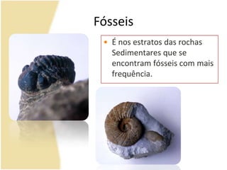 FósseisÉ nos estratos das rochas Sedimentares que se encontram fósseis com mais frequência.Ficha de TrabalhoExercício 14