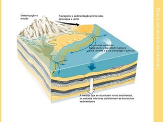 GÉNESE DAS ROCHAS SEDIMENTARES
 