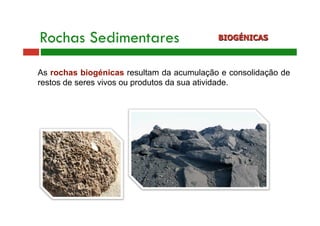 Rochas Sedimentares BIOGÉNICAS 
As rochas biogénicas resultam da acumulação e consolidação de 
restos de seres vivos ou produtos da sua atividade. 
 