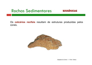 Rochas Sedimentares BIOGÉNICAS 
Os calcários recifais resultam de estruturas produzidas pelos 
corais. 
Adaptado de Cientic 7 – Porto Editora 
 