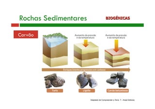 Rochas Sedimentares BIOGÉNICAS 
Carvão 
Adaptado de Compreender a Terra 7 – Areal Editores 
 