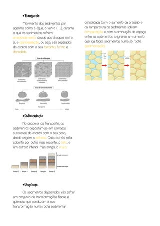 Transporte
Movimento dos sedimentos por
agentes como a água, o vento (…), durante
o qual os sedimentos sofrem
arredondamento, devido aos choques entre
si, e granosseleção, ou seja, são separados
de acordo com o seu tamanho, forma e
densidade.
Sedimentação
No decorrer do transporte, os
sedimentos depositam-se em camadas
sucessivas de acordo com o seu peso,
dando origem a estratos. Cada estrato está
coberto por outro mais recente, o teto, e
um estrato inferior mais antigo, o muro.
Diagénese
Os sedimentos depositados vão sofrer
um conjunto de transformações físicas e
químicas que conduzem à sua
transformação numa rocha sedimentar
consolidada. Com o aumento da pressão e
da temperatura os sedimentos sofrem
compactação e com a diminuição do espaço
entre os sedimentos, origina-se um cimento
que liga todos sedimentos numa só rocha
(sedimentação)
 