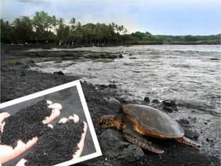 AREIA NEGRA




                 16
       IL 2012
 