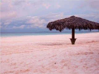 AREIAS ROSA




                 9
       IL 2012
 