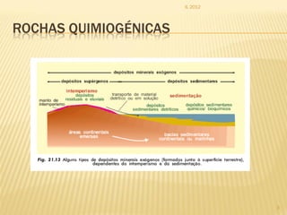 IL 2012




ROCHAS QUIMIOGÉNICAS




                                 3
 
