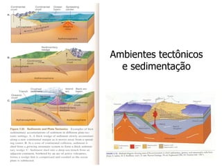 Ambientes tectônicos
  e sedimentação
 