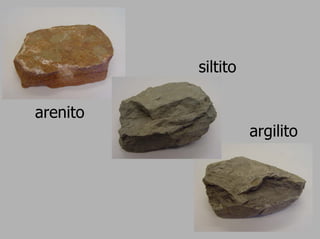 siltito

arenito
                    argilito
 